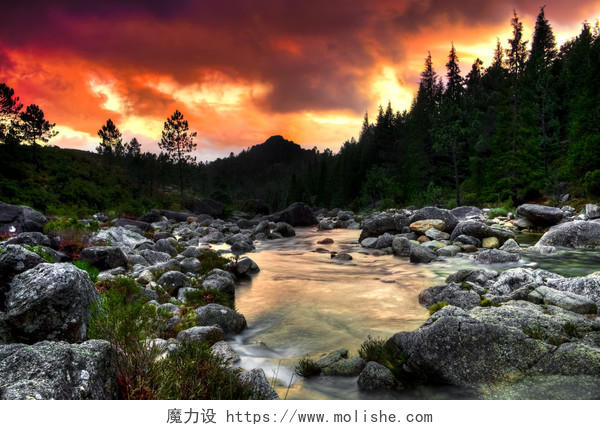 自然风景落日下的山水树林风景图